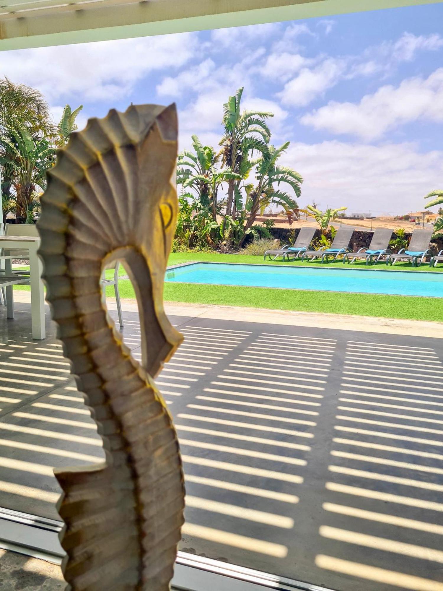 Villa Turquesa 1 Fuerteventura Lajares Exterior foto